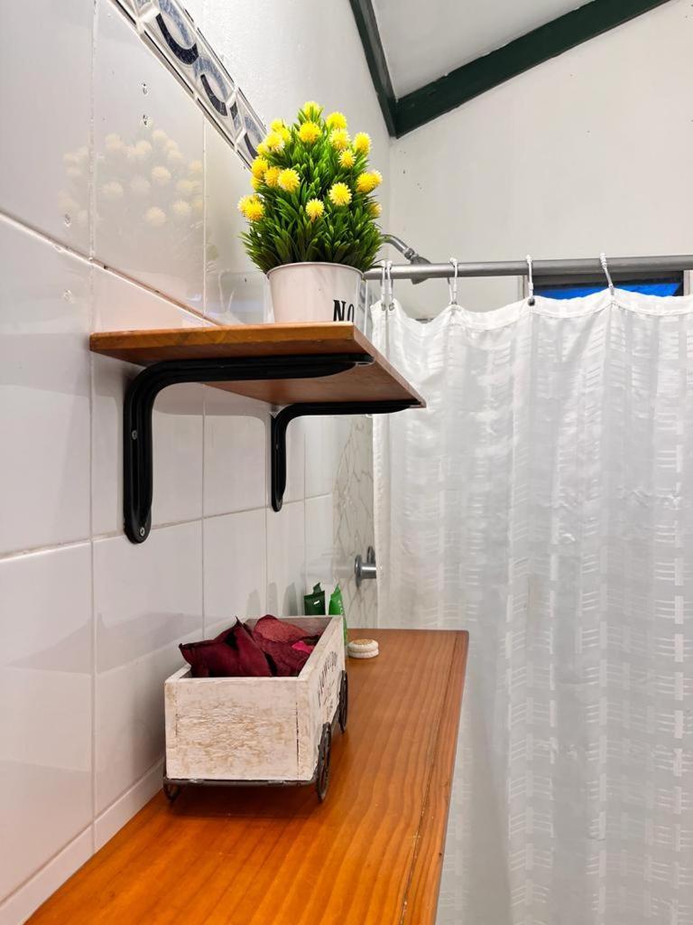 Bed and breakfast House 2*