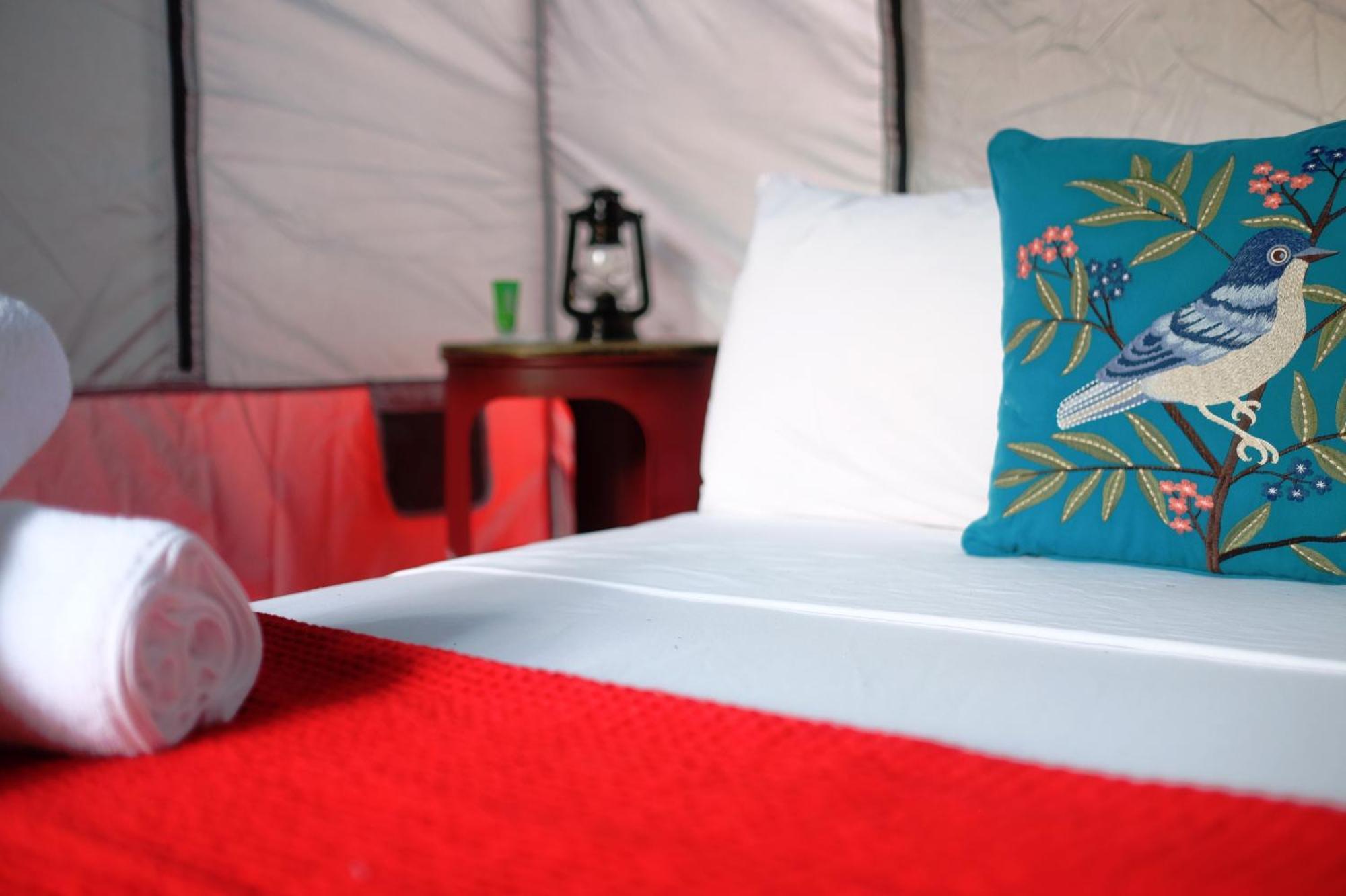 Bed & Breakfast House 2*