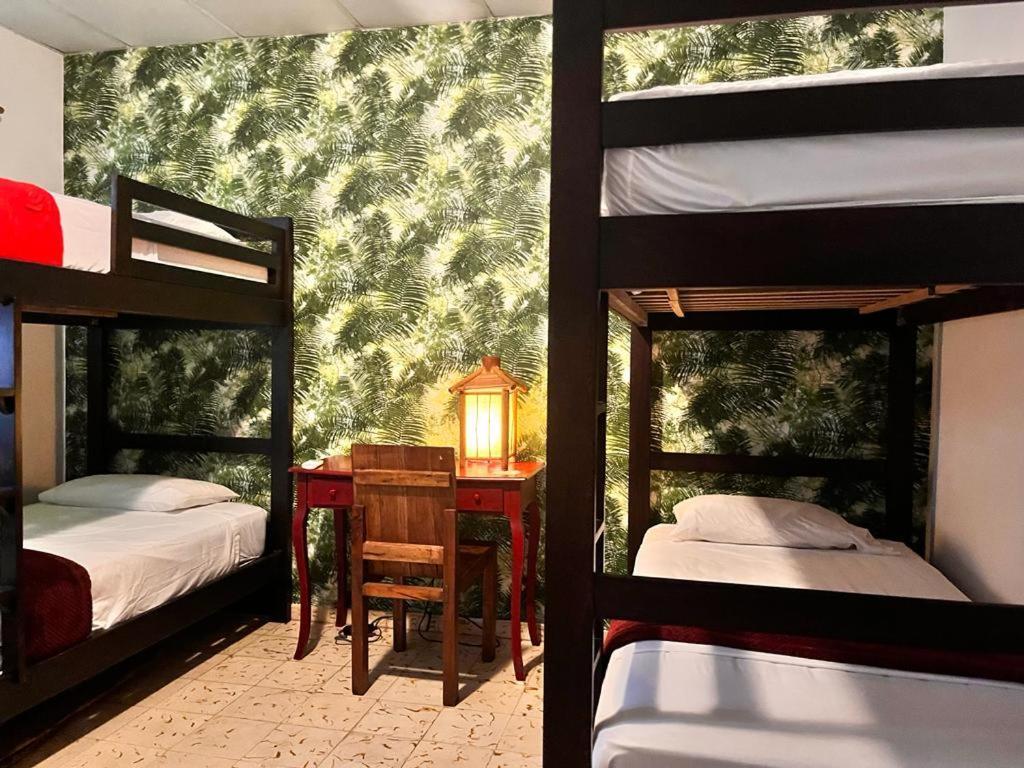 House Bed & Breakfast 2*