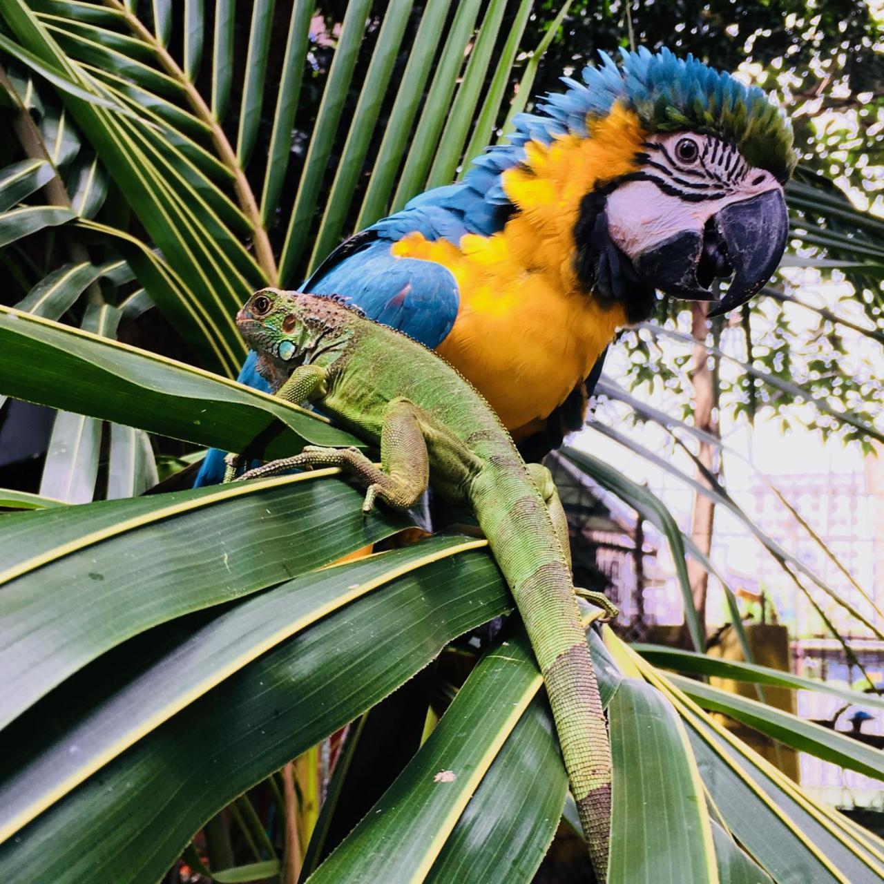 House Bed & Breakfast Panama City